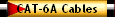 CAT-6A Cables