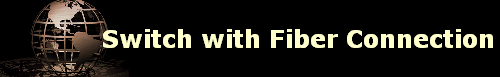 Switch with Fiber Connection