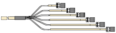 DSL /CLEC Cable Assembly