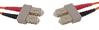 scsccat_5
