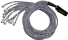 CAT-3 and 5 Octopus Cable